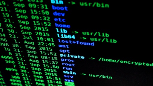 Password bypass